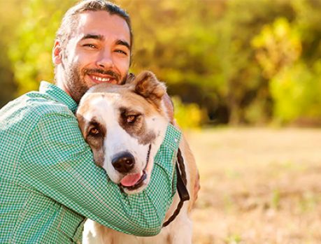 Estresse de humanos contagia cães, afirma estudo