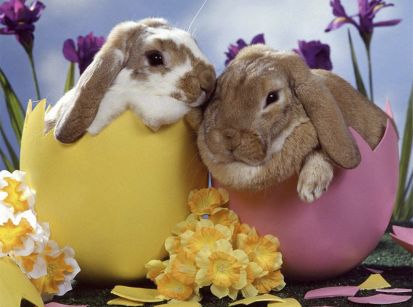 Por que ovos e coelhos são símbolos da Páscoa?!