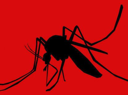 Mortes por dengue aumentam no Paraná!!! 