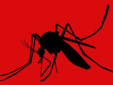 Mortes por dengue aumentam no Paraná!!! 
