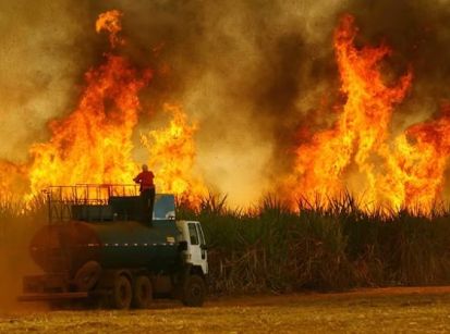 POR CAUSA DAS QUEIMADAS ALIMENTOS FICAM MAIS CAROS!