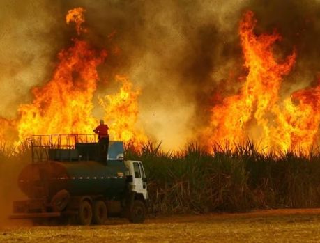 POR CAUSA DAS QUEIMADAS ALIMENTOS FICAM MAIS CAROS!