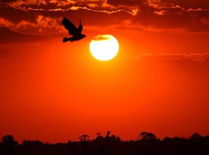 O CLIMA PIOROU DRASTICAMENTE... UMUARAMA VIROU ILHA DE CALOR! O CLIMA PIOROU DRASTICAMENTE... UMUARAMA VIROU ILHA DE CALOR!