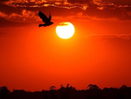 O CLIMA PIOROU DRASTICAMENTE... UMUARAMA VIROU ILHA DE CALOR!