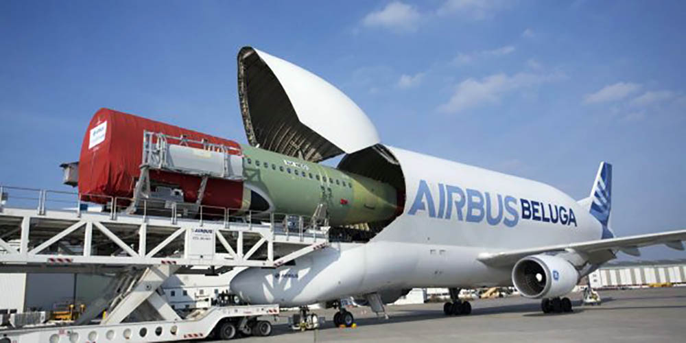 Baleia voadora': avião Beluga XL da Airbus começa a operar - Olhar Digital