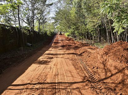 Umuarama terá pista de skate e patinação entre bosque e estádio         