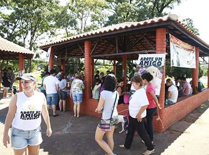 Duas campanhas em uma só para cuidar da saúde dos animais   