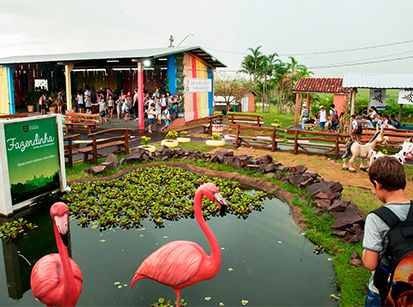 A Fazendinha, o recanto que retrata como é a vida no campo