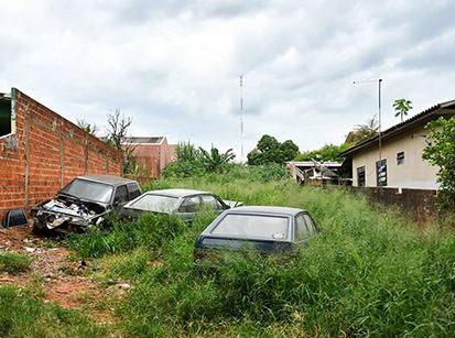 Umuarama tem quase 500 terrenos cobertos por matagais e lixo!