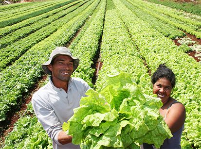 Paraná pretende ser o maior produtor de alimentos do planeta!