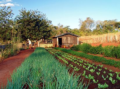 Acontece hoje em Umuarama o Seminário Regional de Horticultura