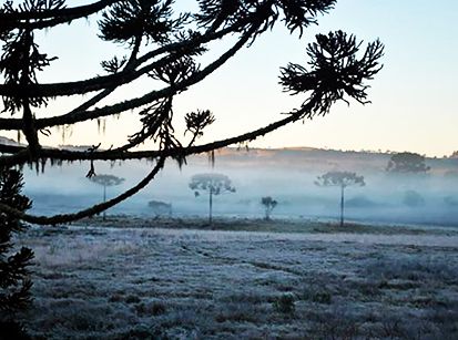 Onda gelada vai chegar ao Paraná antes de começar o inverno