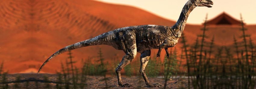 Este é o primeiro dinossauro do PR!