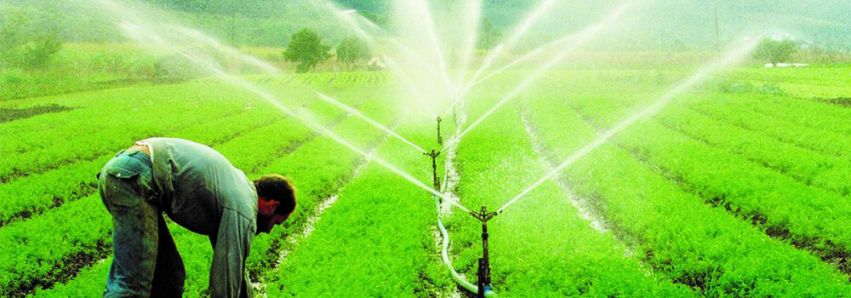 Irrigação na zona rural de Umuarama   