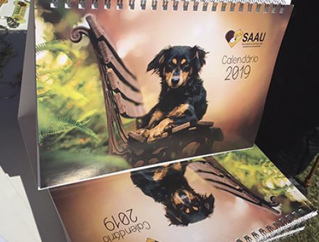 Em novembro a SAAU lançará seu bonito Calendário 2020!