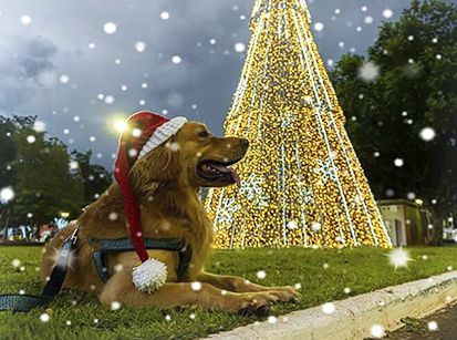 Thor, o mascote do Natal de Umuarama!