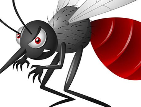 Mosquito da dengue ataca: Umuarama tem 165 casos confirmados!