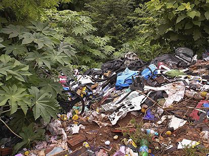 Denuncie pelo WhatsApp terrenos sujos e abandonados em Umuarama!   