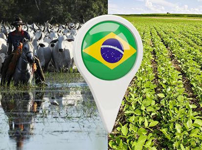 Agronegócio: a salvação da economia brasileira pós-coronavírus!