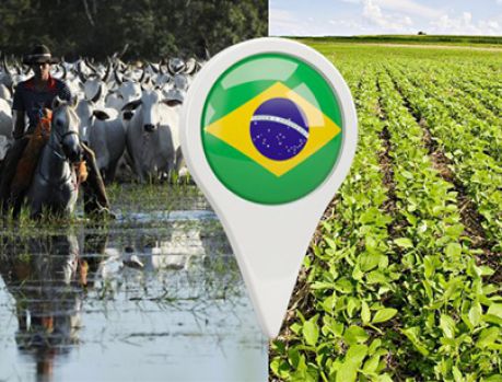 Agronegócio: a salvação da economia brasileira pós-coronavírus!