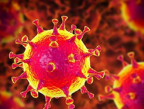 Coronavírus: Umuarama tem 7 casos e 1 morte por Covid-19   