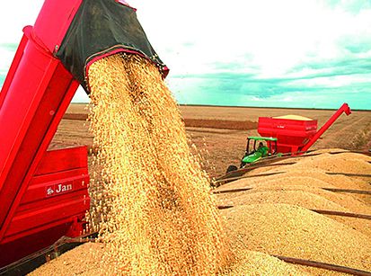 Agronegócio, o salvador da economia brasileira nestes tempos de pandemia!