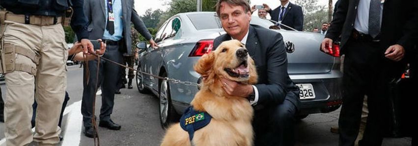 Bolsonaro, o protetor dos animais!