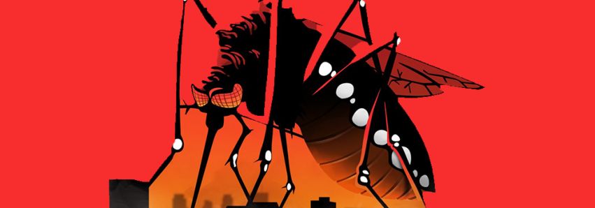 Guerra ao mosquito da dengue!!!