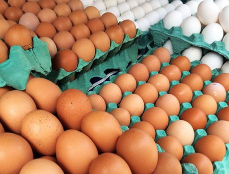 Agora o preço dos ovos está subindo toda semana... 