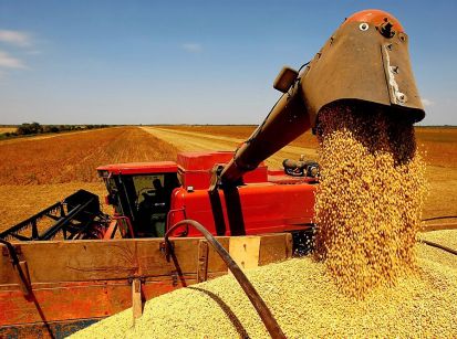 Agricultura cresce cada vez mais aqui no Noroeste