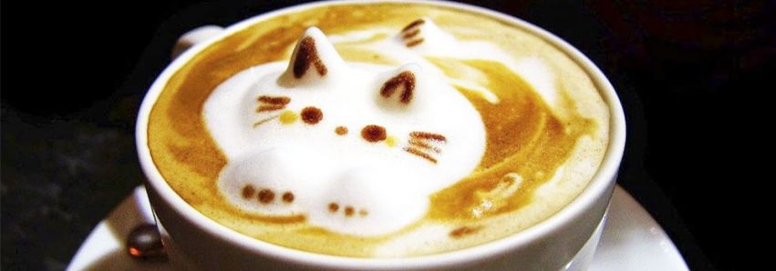 Hoje é o Dia Mundial do Café! 
