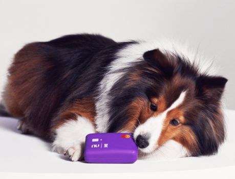 Lançado no Brasil o cartão de crédito para cachorro!!! 