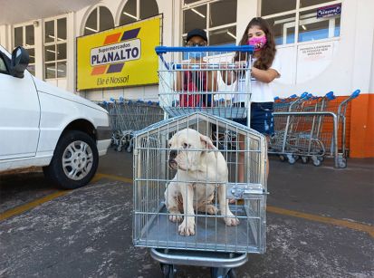 ‘Carrinho do pet’ é alegria no Planalto 