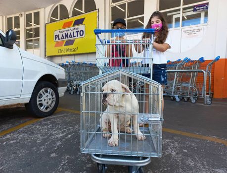 ‘Carrinho do pet’ é alegria no Planalto 