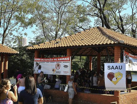 Domingo tem Feira de Adoção de Animais da SAAU no Lago Aratimbó 