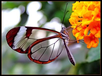 Contagem regressiva para a chegada da primavera!