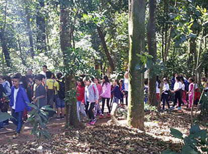 Abraço Ambiental de Umuarama será virtual outra vez... 