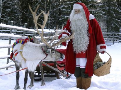 Renas de Natal, as criaturas mágicas e bonitas que voam... 