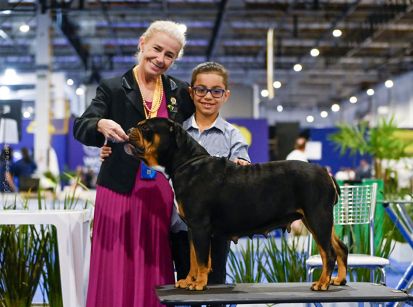 Umuarama participou do World Dog Show, a Copa do Mundo dos Cães 