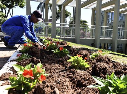 18 mil flores vão colorir Umuarama!