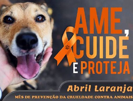 População deve denunciar casos de crueldade contra animais!!!