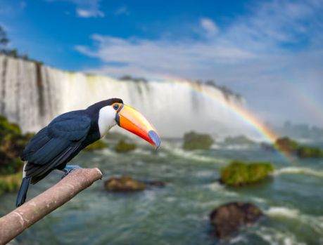 GIGANTESCAS, ELAS SÃO AS PREFERIDAS DO MUNDO!