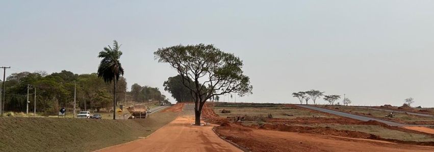 IPÊ GIGANTE ENFEITA O MONT SION!