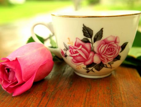 Rotary Catedral promoverá 6º Chá Rosa na Casa da Amizade   