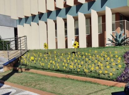 HOSPITAL CEMIL LANÇA AÇÃO &quot;FLORESCER DE ESPERANÇA&quot; 