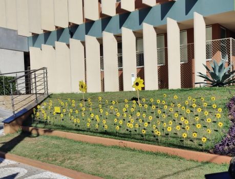 HOSPITAL CEMIL LANÇA AÇÃO &quot;FLORESCER DE ESPERANÇA&quot; 