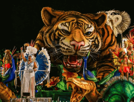 CARNAVAL DO RIO: O MAIOR SHOW DA TERRA!