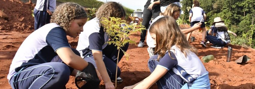 BELA LIÇÃO INFANTIL DE ECOLOGIA! BELA LIÇÃO INFANTIL DE ECOLOGIA!