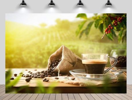 PREÇO DO CAFÉ FICOU MAIS BARATO 15% EM JUNHO! E VAI BAIXAR MAIS... PREÇO DO CAFÉ FICOU MAIS BARATO 15% EM JUNHO! E VAI BAIXAR MAIS...