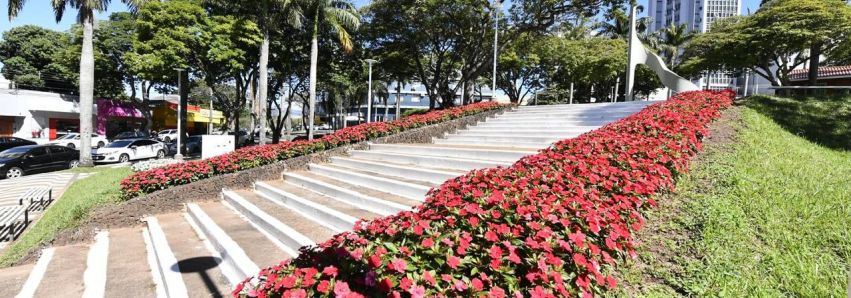 UMUARAMA É UMA DAS CIDADES MAIS FLORIDAS DO PARANÁ! UMUARAMA É UMA DAS CIDADES MAIS FLORIDAS DO PARANÁ!